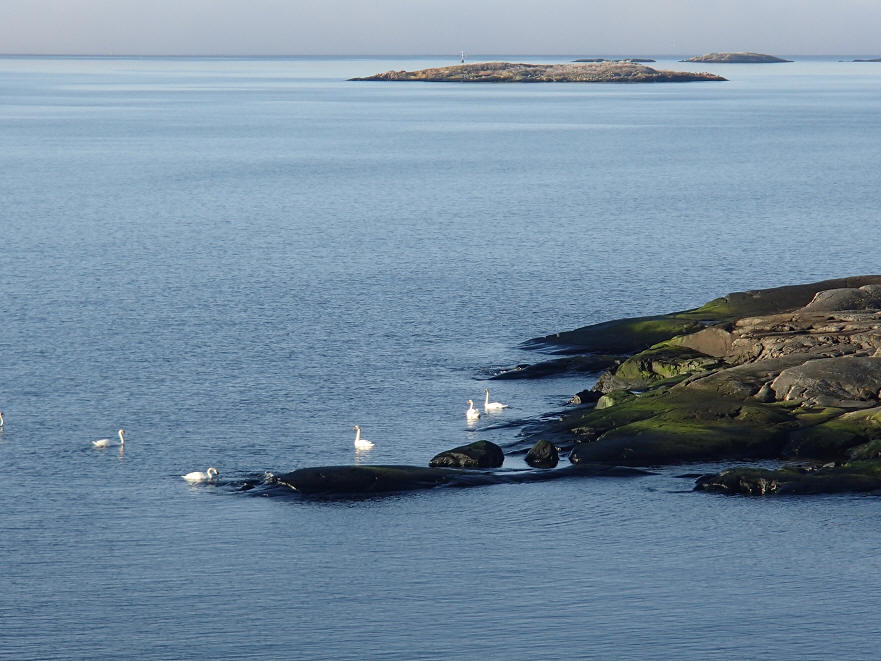 foto Erik Barkefors