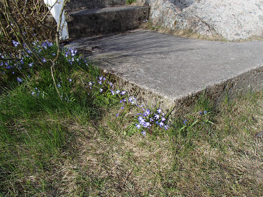 foto Erik Barkefors