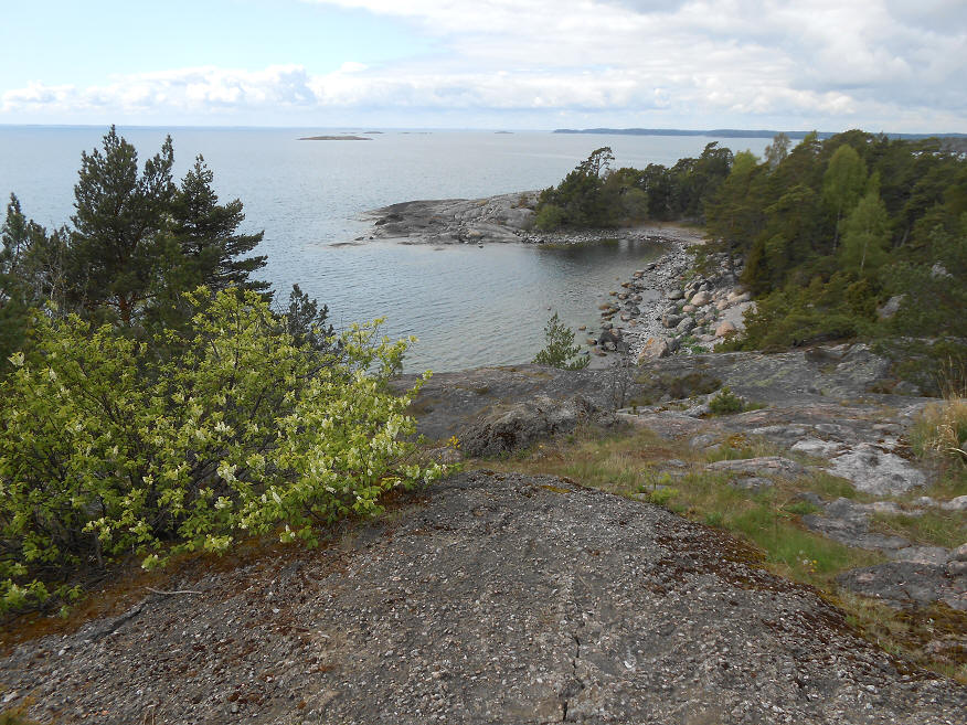 foto Per Rödseth