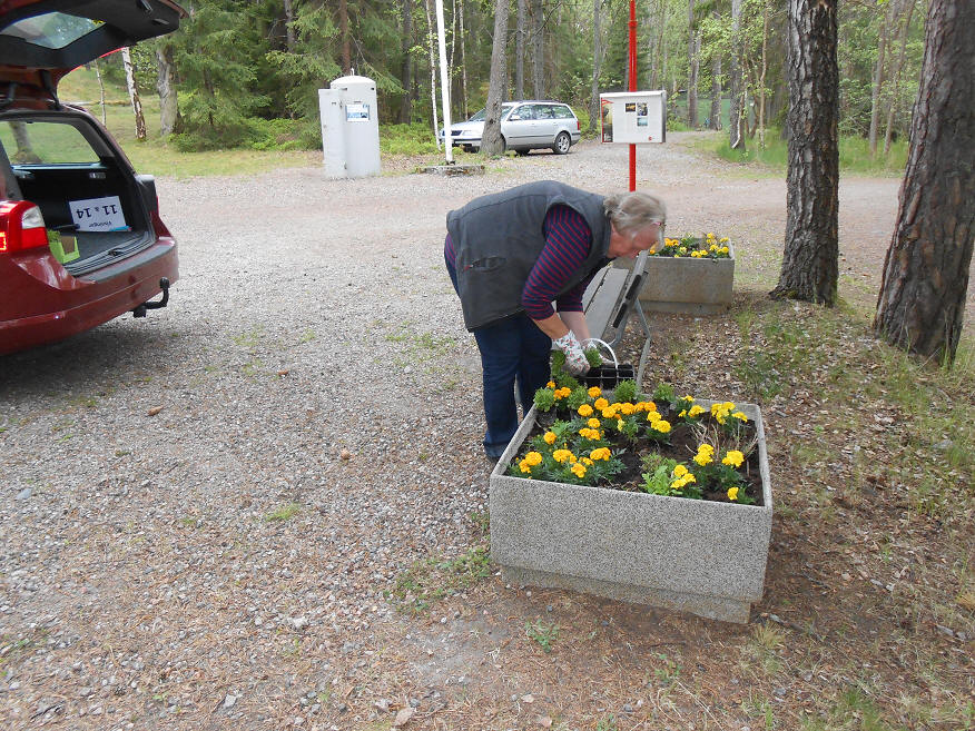 foto Per Rödseth