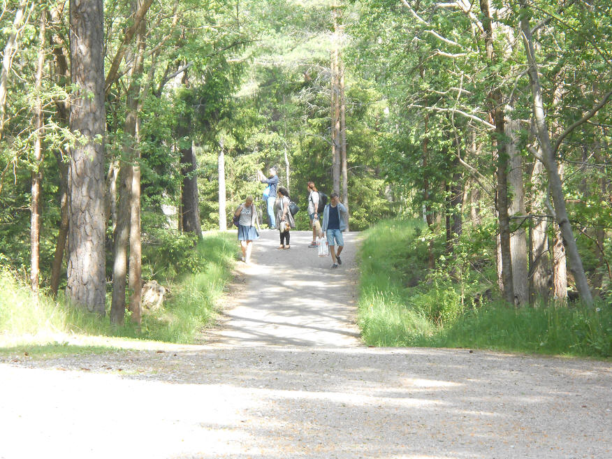 foto Per Rödseth