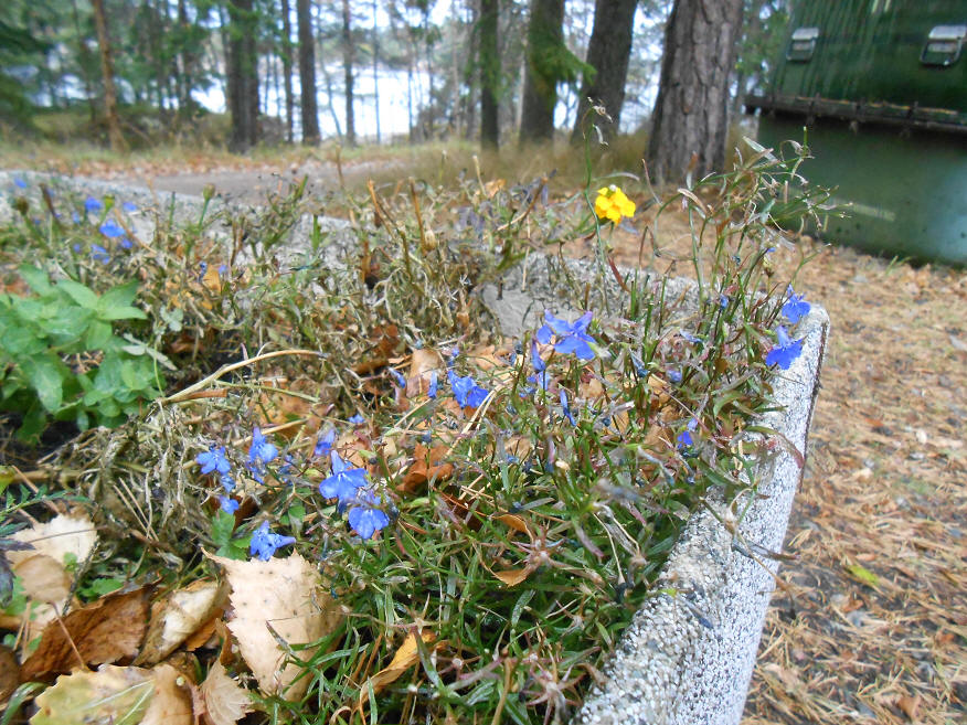 foto Per Rödseth