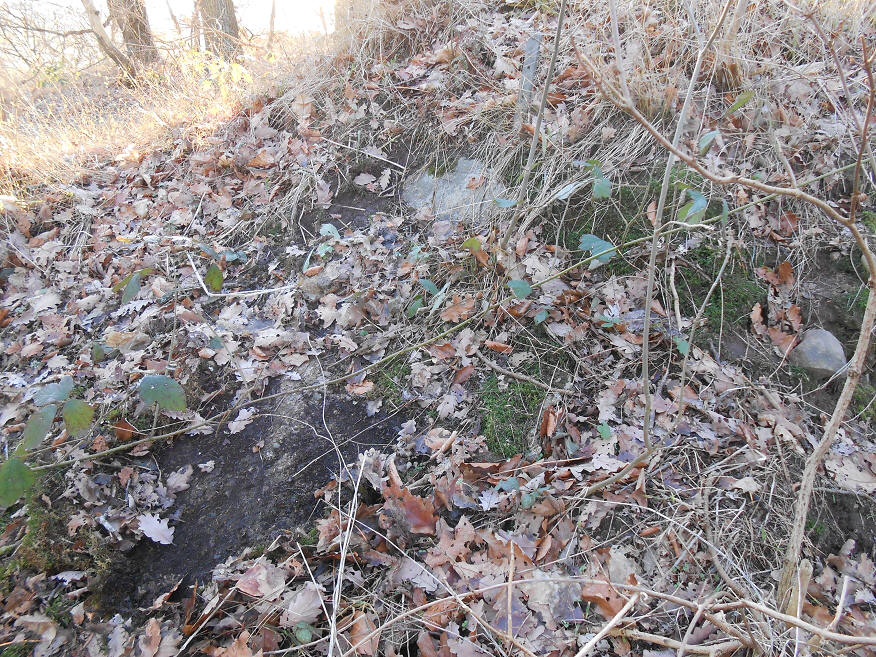 foto Per Rödseth