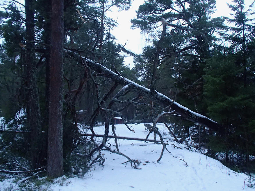 foto Erik Barkefors