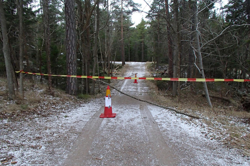 foto Erik Barkefors