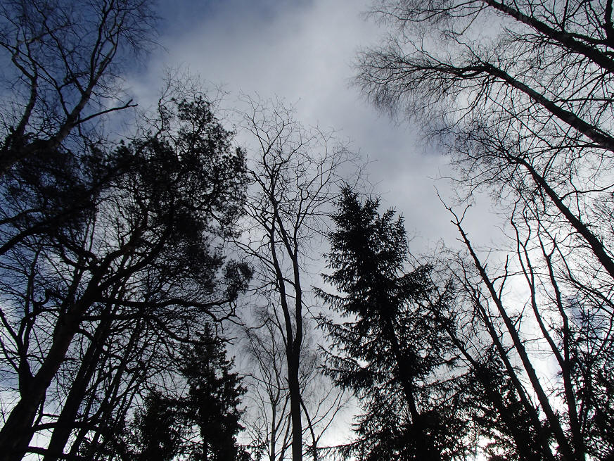 foto Erik Barkefors
