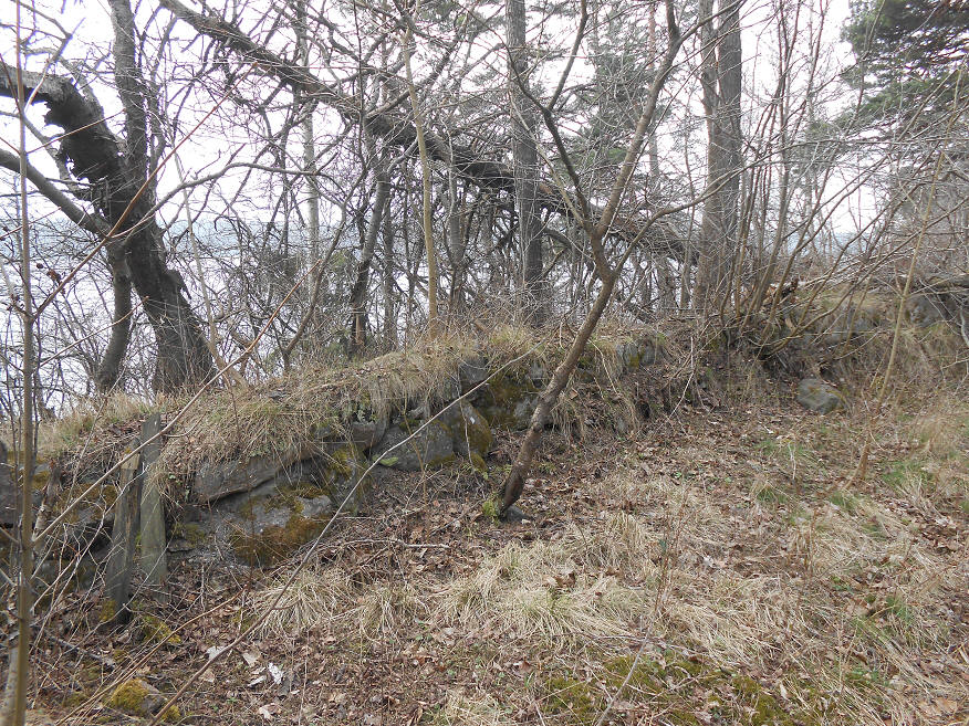 foto Per Rödseth