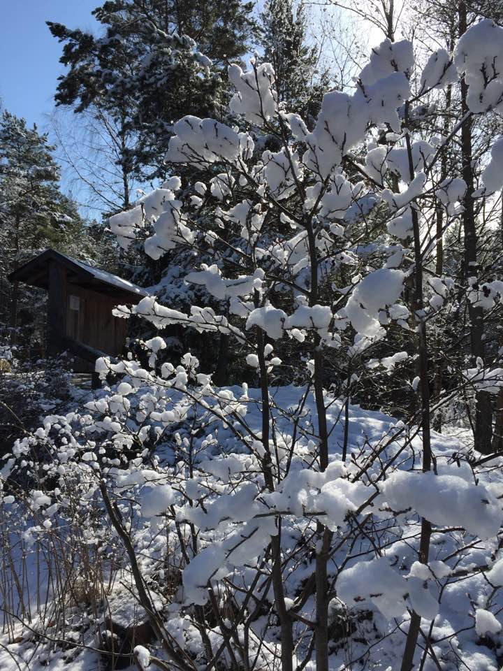 foto Karin Henriksson