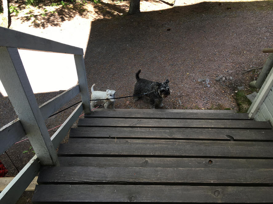 foto Per Rödseth