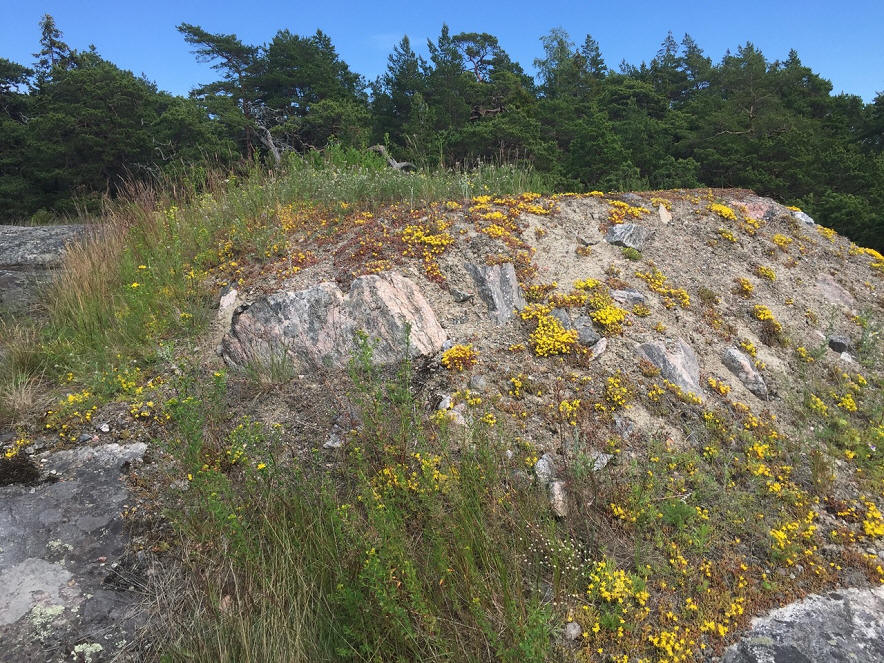 foto Karin Henriksson