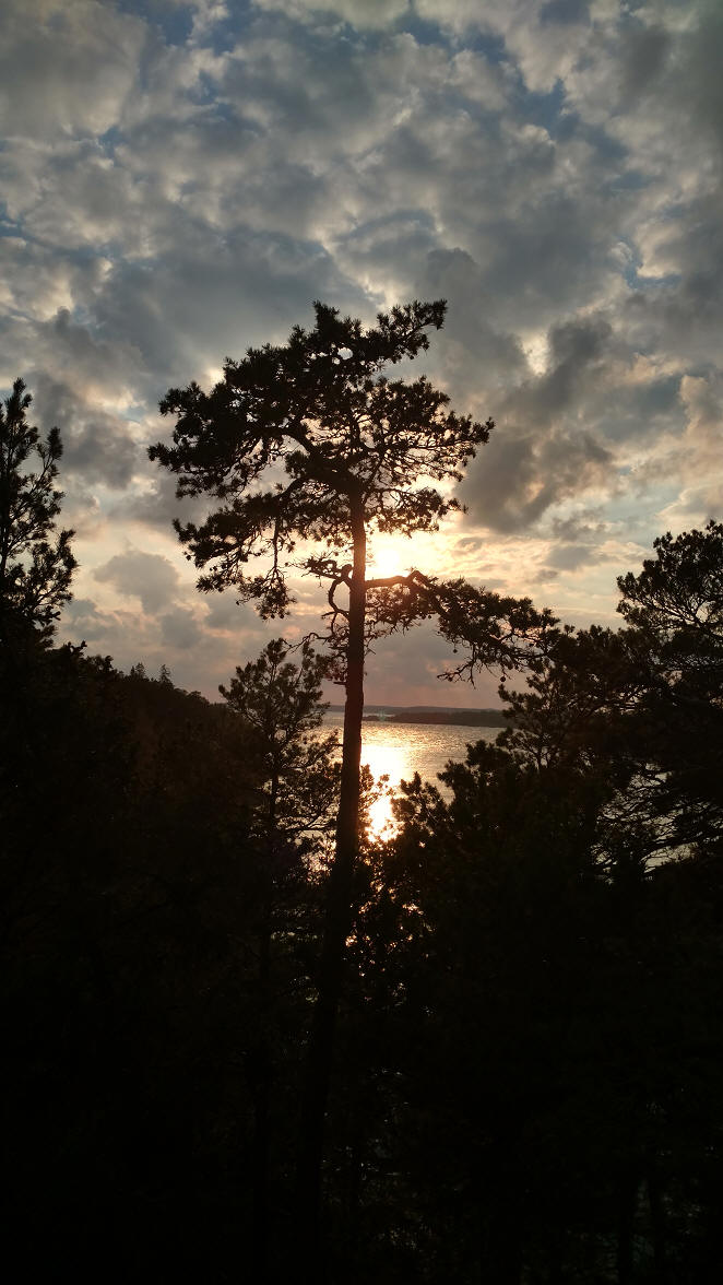 foto Petter Erlandsson