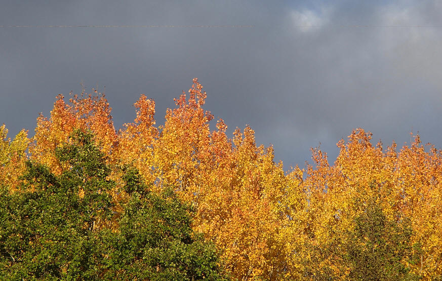 foto Erik Barkefors
