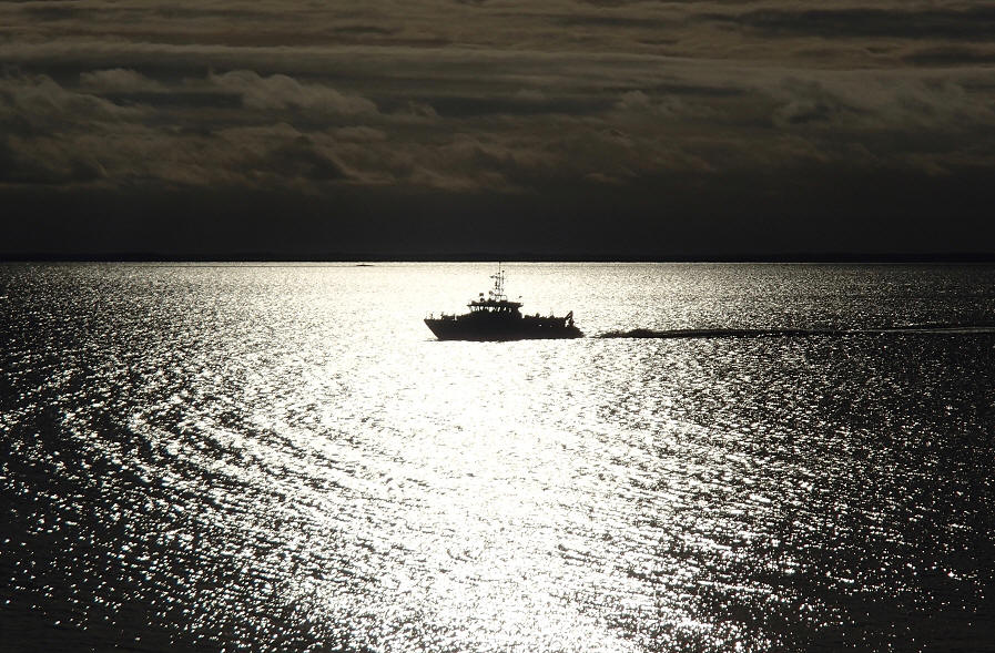 foto Erik Barkefors