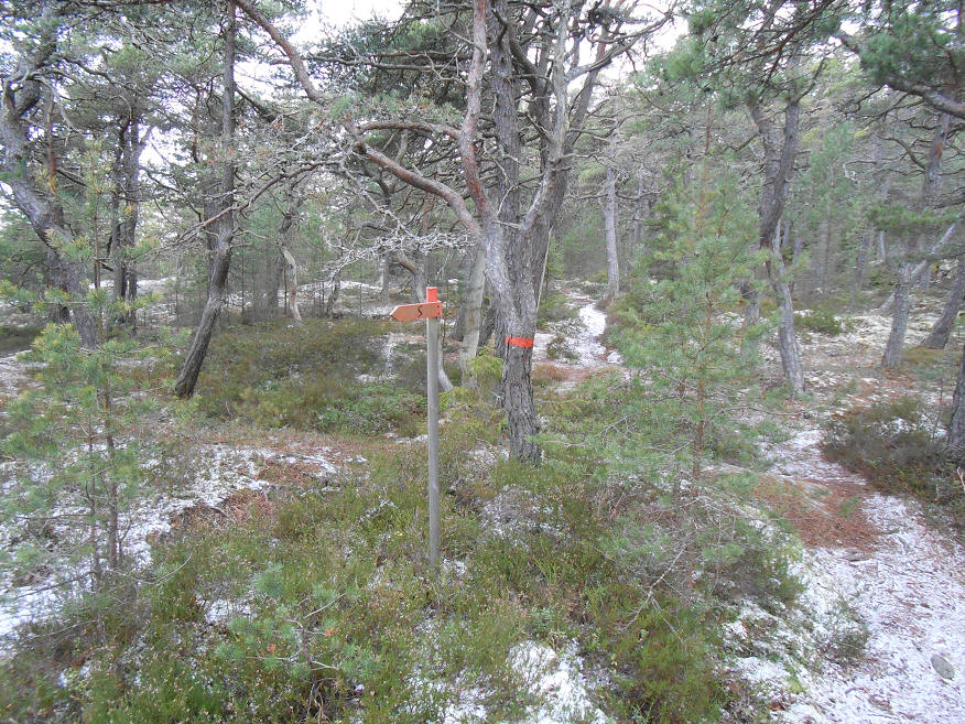 foto Per Rödseth