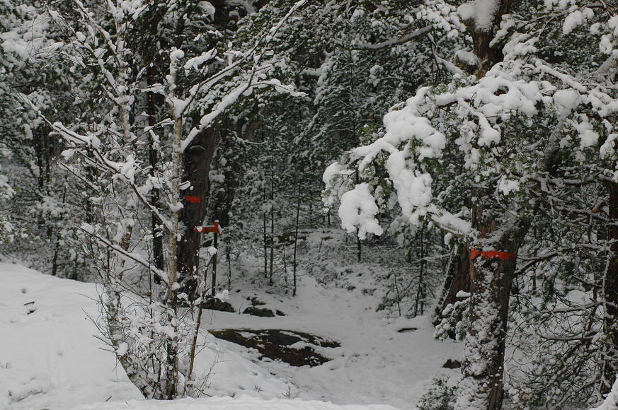 foto Per Rödseth