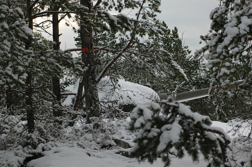 foto Per Rödseth