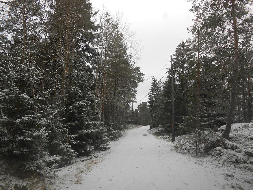 foto Per Rödseth