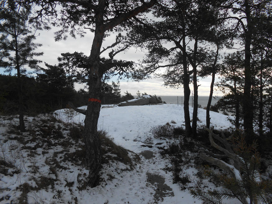 foto Per Rödseth