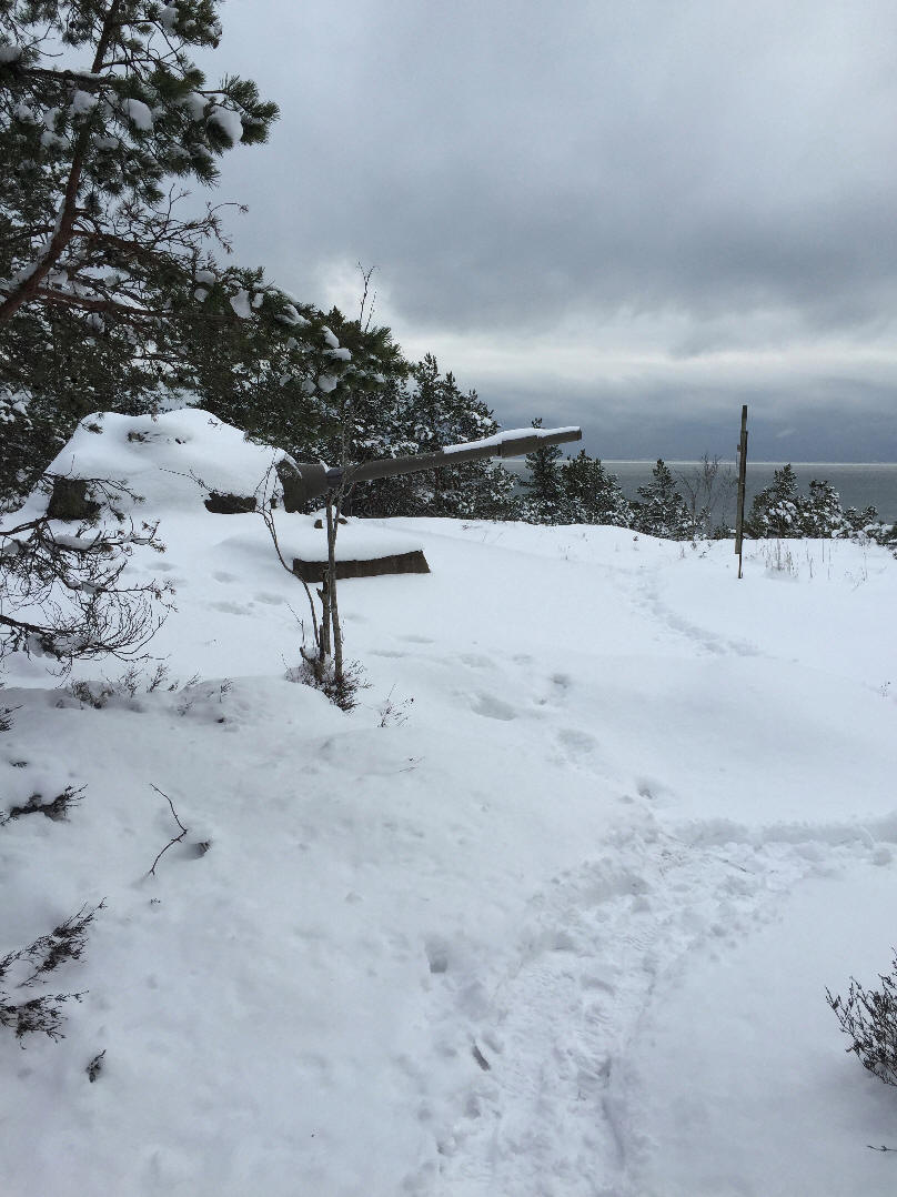 foto Karin Henriksson