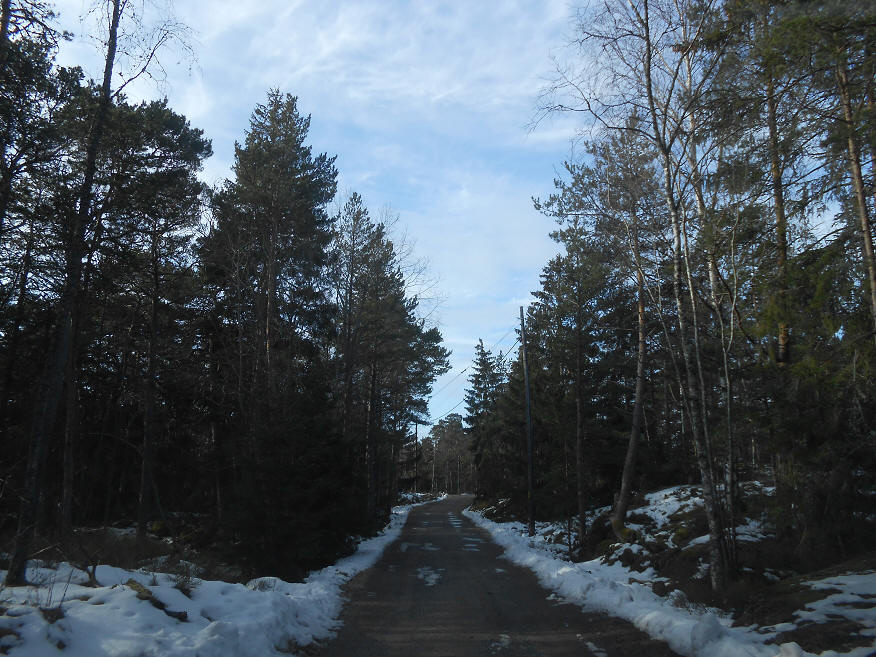 foto Per Rödseth