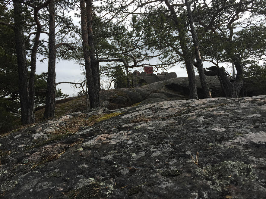 foto Karin Henriksson