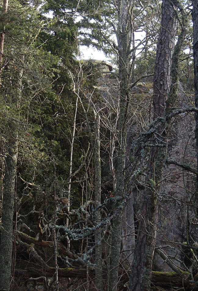 foto Erik Barkefors