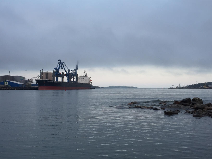 foto Karin Henriksson