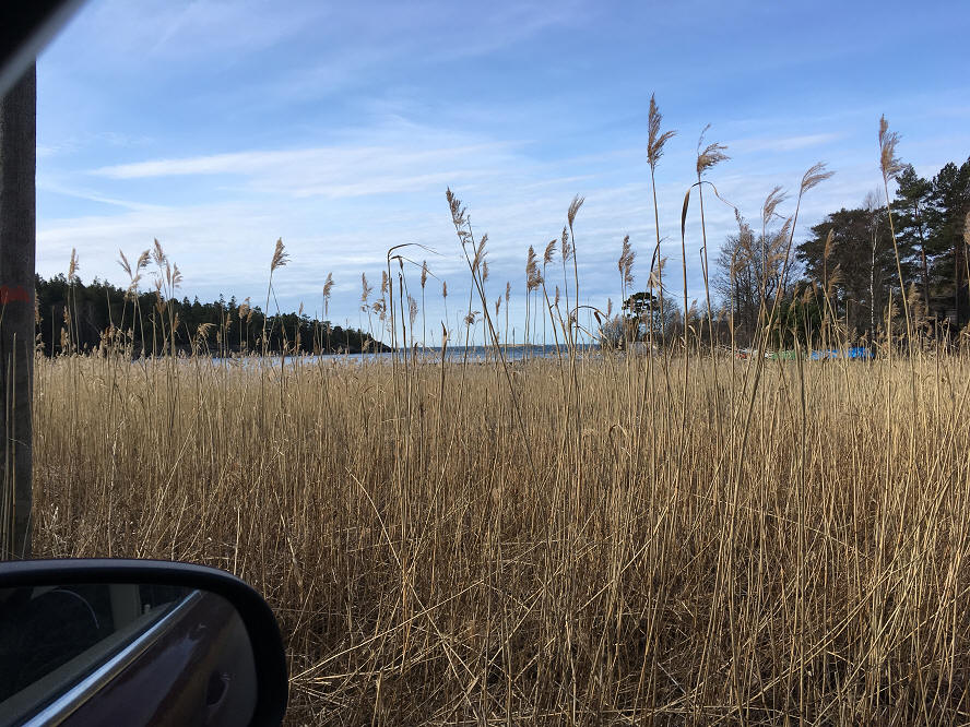foto Per Rödseth