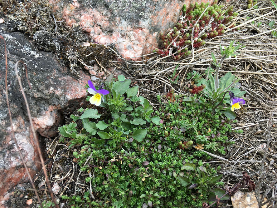 foto Per Rödseth