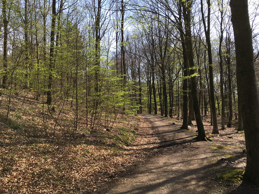 foto Per Rödseth