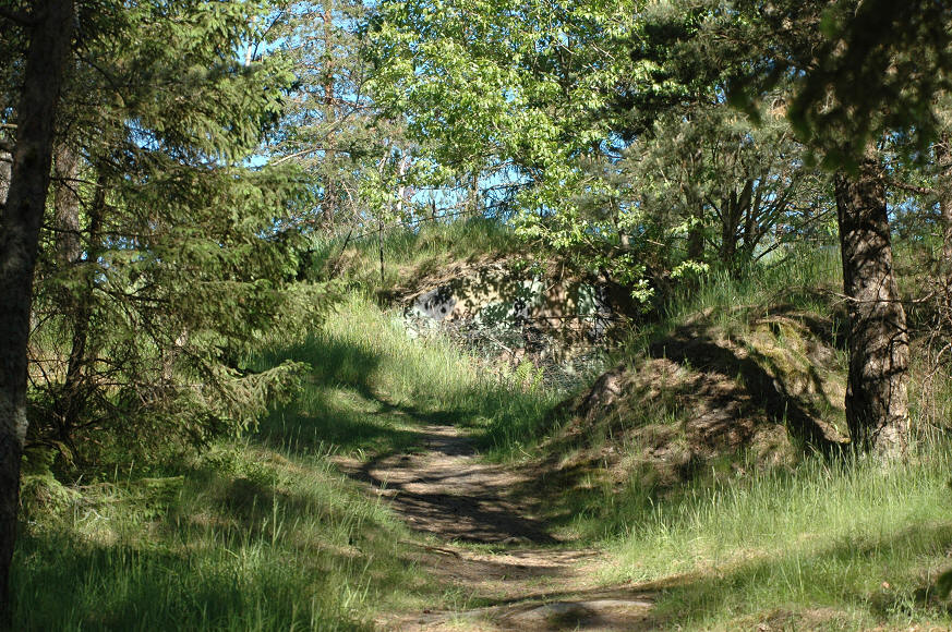 foto Per Rödseth