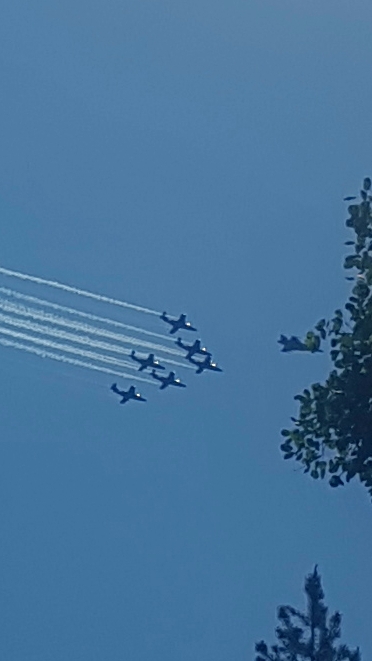 foto Robert Hedman