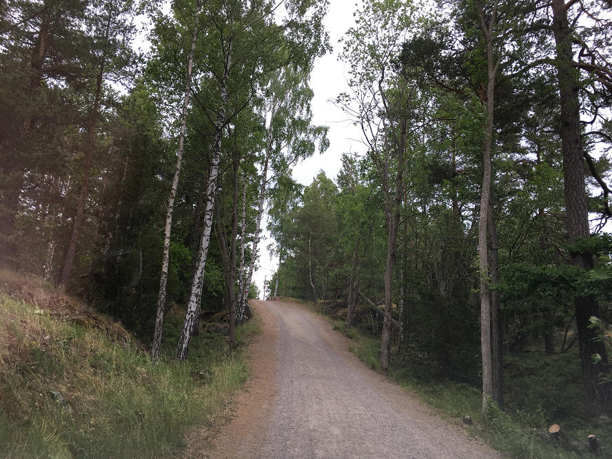 foto Per Rödseth