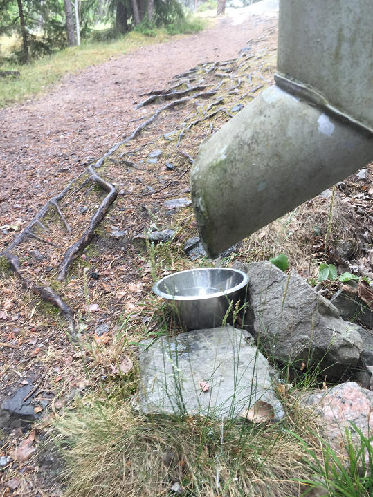 foto Karin Henriksson