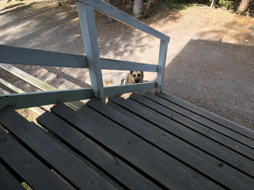 foto Per Rödseth