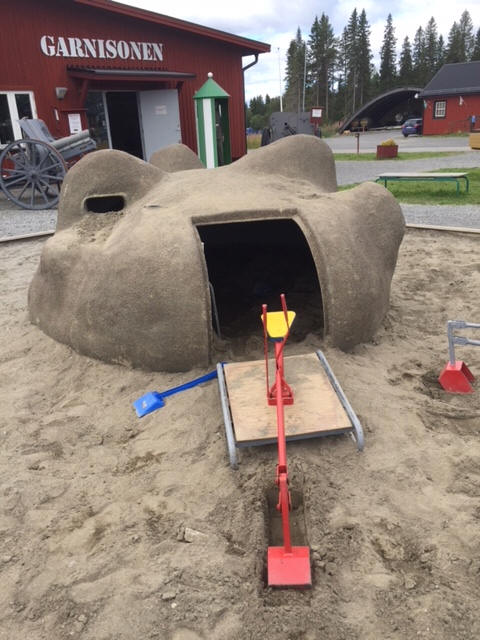 foto Karin Henriksson